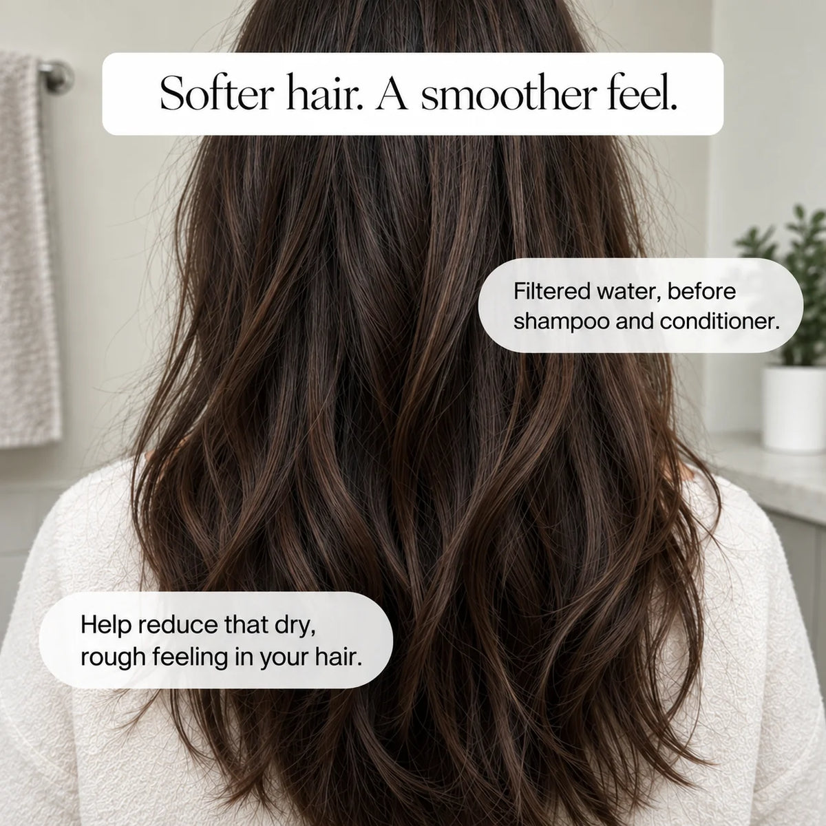 Hair-care illustration showing a woman's hair from behind